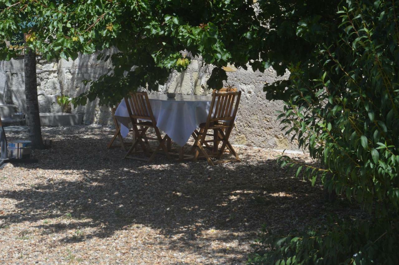 Gite Dans Le Vignoble De Bourgueil Le Port Boulet Buitenkant foto