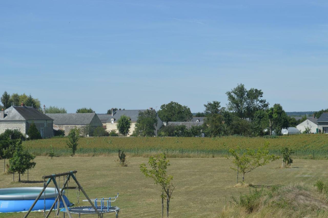 Gite Dans Le Vignoble De Bourgueil Le Port Boulet Buitenkant foto