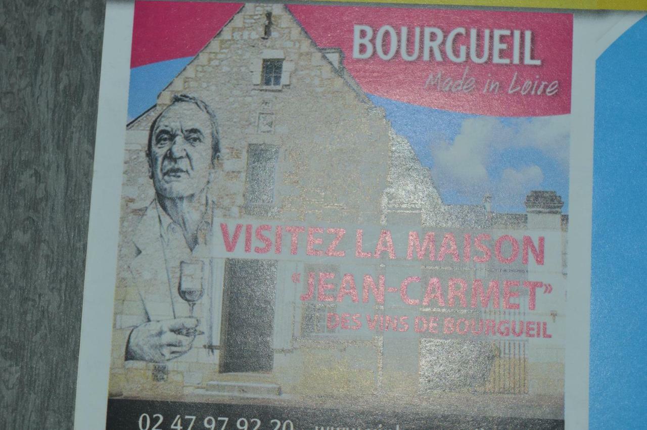 Gite Dans Le Vignoble De Bourgueil Le Port Boulet Buitenkant foto