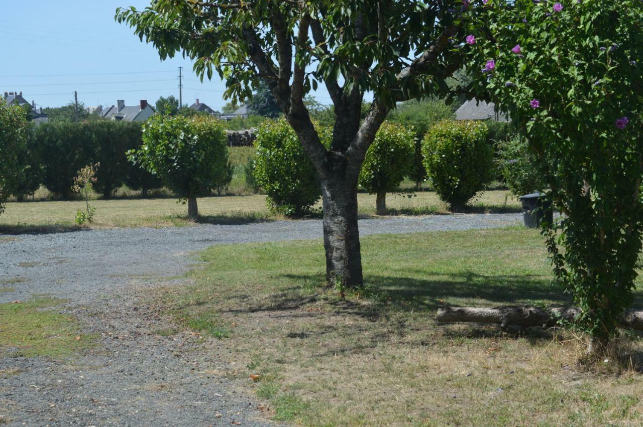 Gite Dans Le Vignoble De Bourgueil Le Port Boulet Buitenkant foto