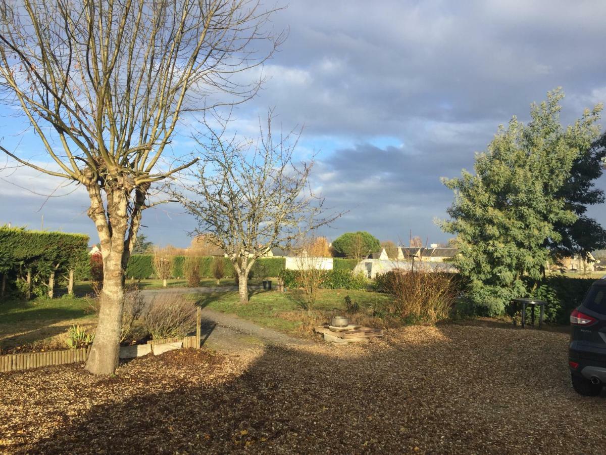 Gite Dans Le Vignoble De Bourgueil Le Port Boulet Buitenkant foto