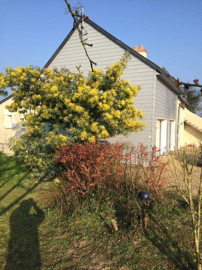 Gite Dans Le Vignoble De Bourgueil Le Port Boulet Buitenkant foto